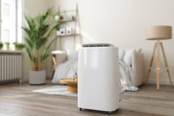 Best Ductless Mini-Split Systems in Bay Pines, FL
